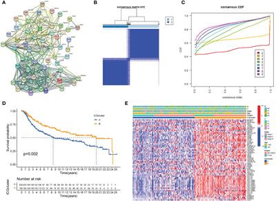 Immune checkpoints expression patterns in early-stage triple-negative breast cancer predict prognosis and remodel the tumor immune microenvironment